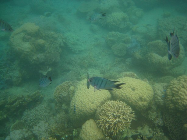 [IMG_9387.JPG]