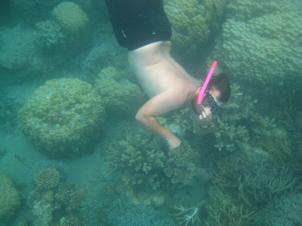 [IMG_9395.JPG]
