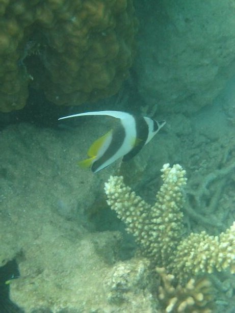 [IMG_9431.JPG]