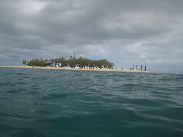 [IMG_9435.JPG]