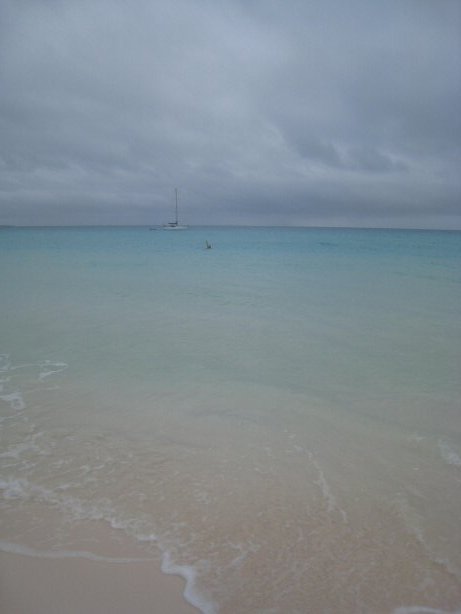 [IMG_9476.JPG]