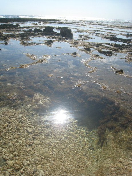 [IMG_9651.JPG]