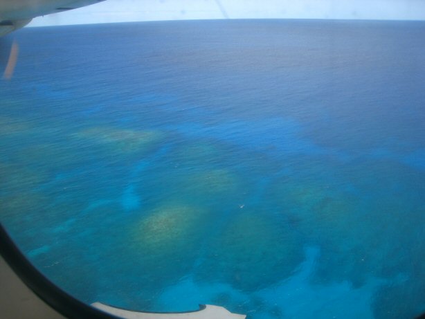 [IMG_9639.JPG]