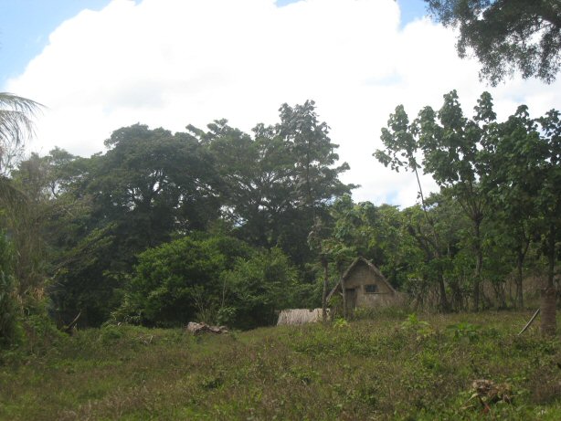[IMG_9704.JPG]