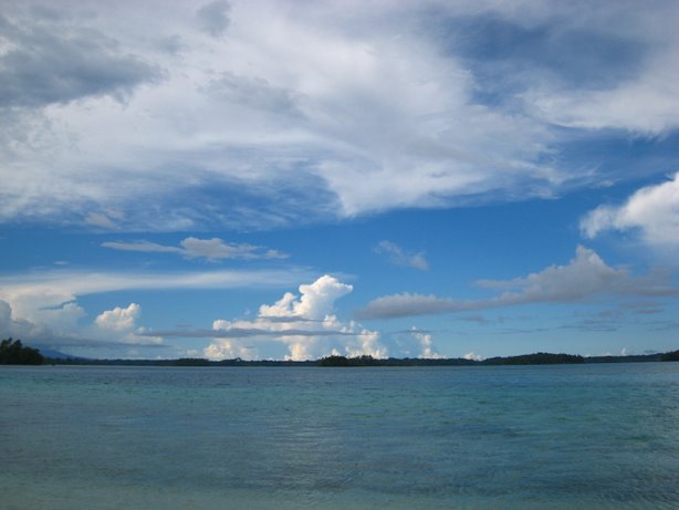 [IMG_0174.JPG]