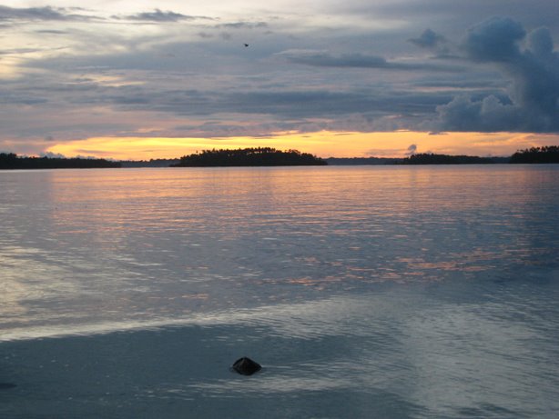 [IMG_0224.JPG]
