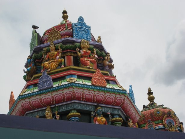 [IMG_0821.JPG]