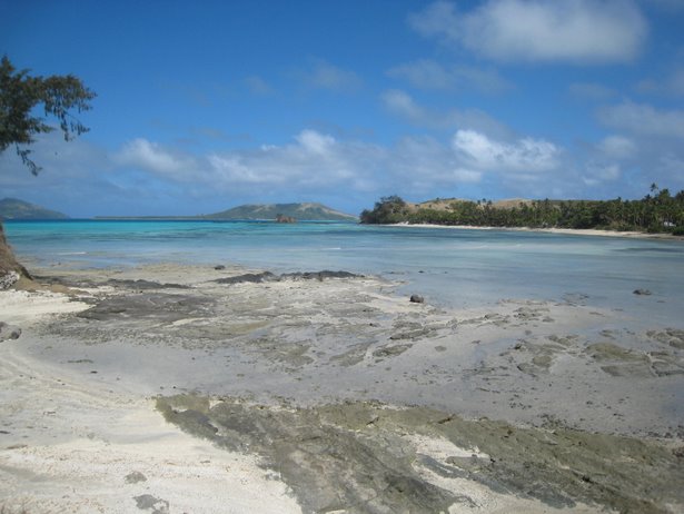 [IMG_0646.jpg]