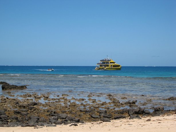 [IMG_0790.jpg]