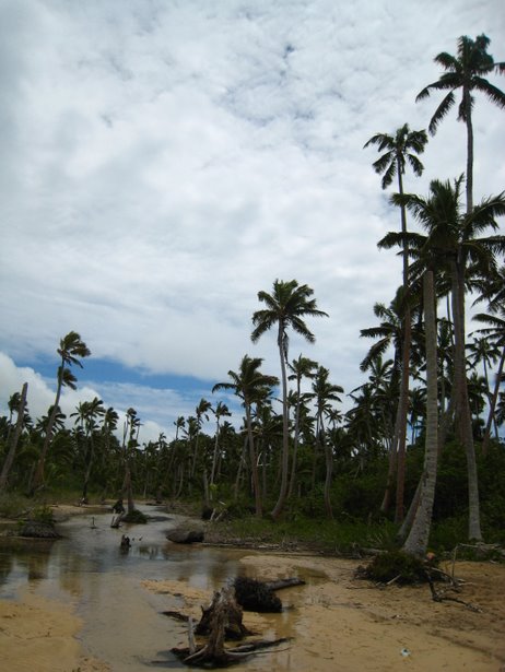 [IMG_0834.JPG]