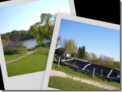 collage10