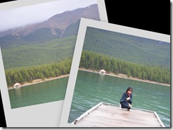 collage1