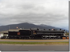 SDC12229
