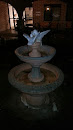 Dove Fountain