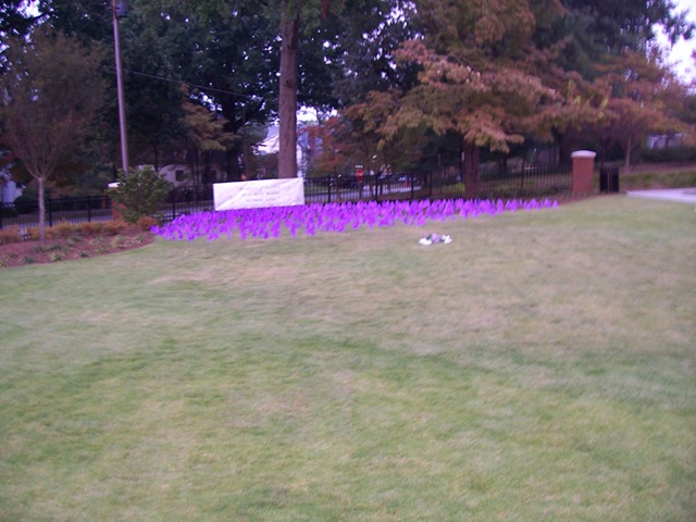 [domestic violence flags[7].jpg]