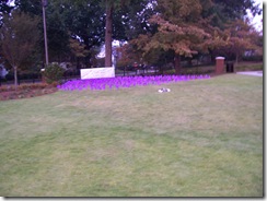 domestic violence flags