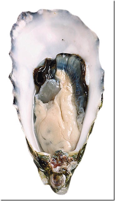 clip_image007