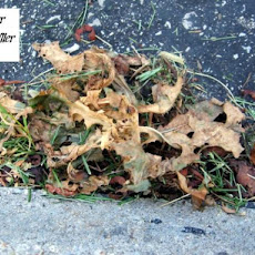 Easy Weed Killer