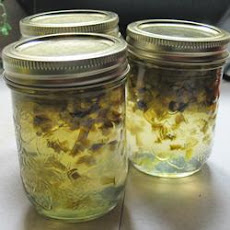 Jalapeno Pepper Jelly