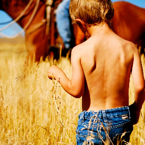 by Julie Zaranek - Landscape & Nature Prairies, Meadows & Fields