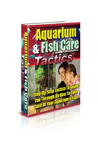 Aquarium and Fish Care Tactics