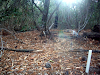 Terreno Balneario Argentino