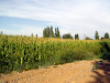Venta Parcela De 10 Hectareas
