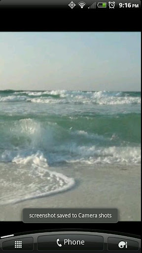 A Live Gulf of Mexico