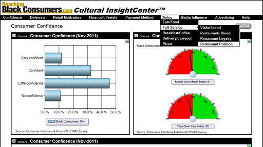 Cultural Insights Tablet