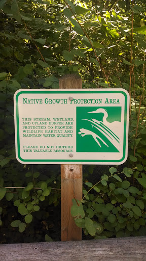 Native growth protection area 31