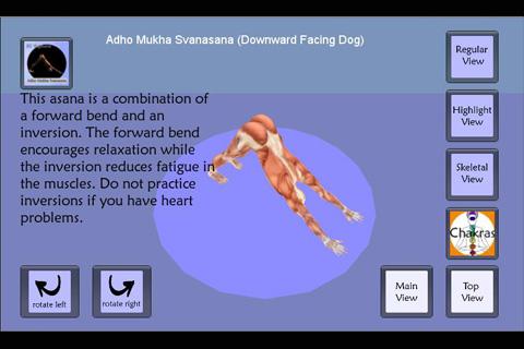 Yoga Asana : Downdog