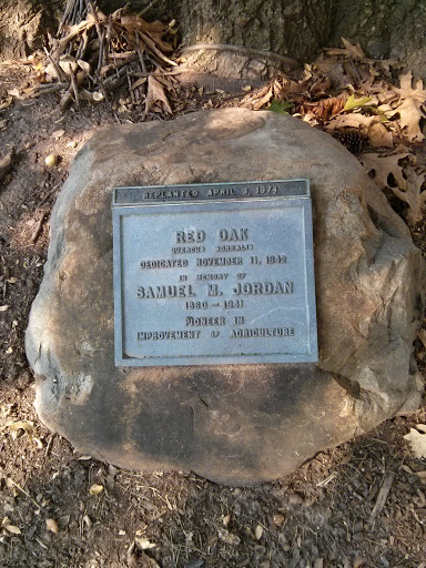 Samuel Jordan Memorial Stone