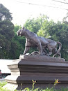 Puma Statue