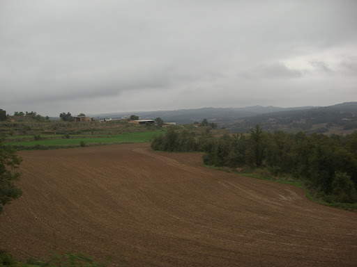 CIMG4269.jpg