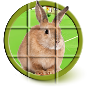 Bunny Puzzle.apk 1.0