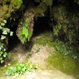 IMG_4135.JPG