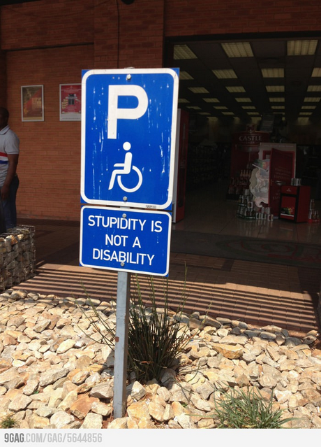 STUPIDITY IS NOT A DISABILITY GAG COM/GAG/5644856