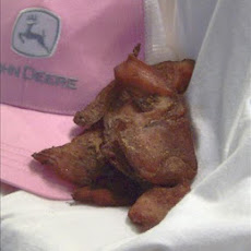 Turkey Jerky