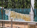 Tiger Wall Mural