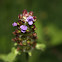 Self-heal