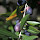 Parque Nacional das Serras de Aire e Candeeiros' Biodiversity (Portugal)