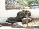 Fish head Fountain