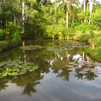 Parks of Mexico