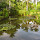 Parks of Mexico