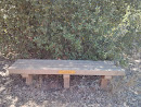 Mission Trails Marelli Memorial Bench