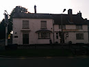 The Greyhound