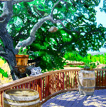Baehner Fournier Vineyards - 8