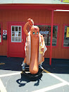Big Hot Dog Man