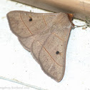 Red-lined panopoda