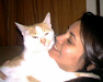 Gato Extraviado